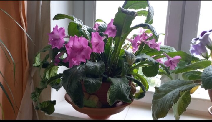 Лидерство презентация. Человеческие ценности. Часть целого. Цель в жизни это определение. Ваши цели в жизни.