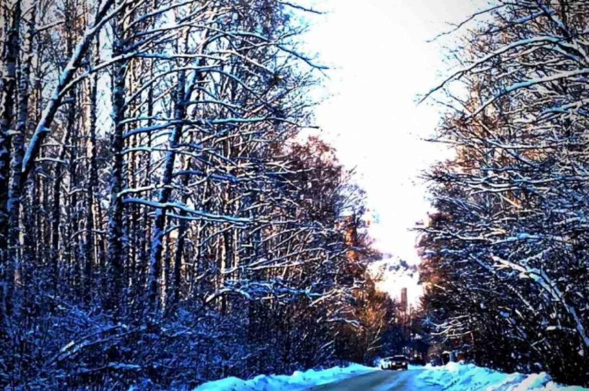    Мэр Уфы утвердил проект застройки территории около городских лесов