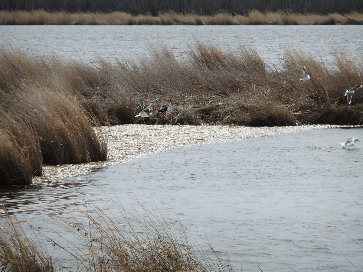 Фото взято из открытых источников