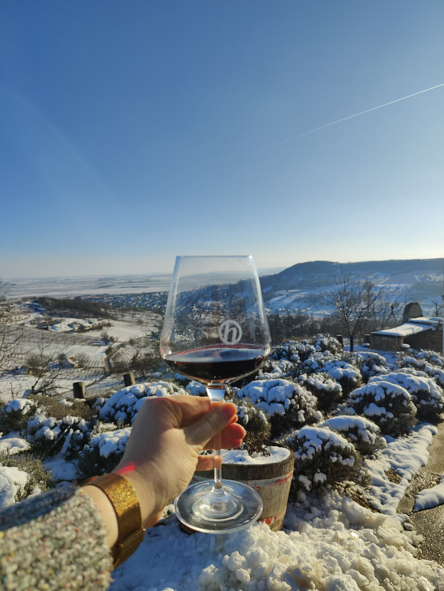 Виноградники Сексарда в январе, потрясающие виды с винодельни Heimann