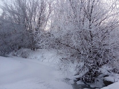 Фотография из личного архива автора