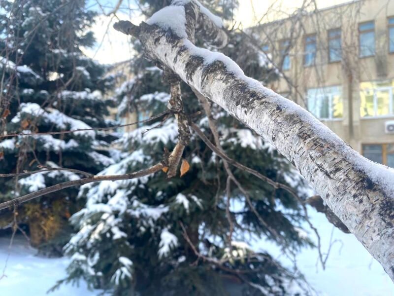 Я поднимаю уровень чтобы стать богом 99. Я поднимаю уровень чтобы стать богом 99. Аниме про парня переродившегося в другом мире ребенком. Я поднимаю уровень чтобы стать богом 99. Я поднимаю уровень чтобы стать богом 99.