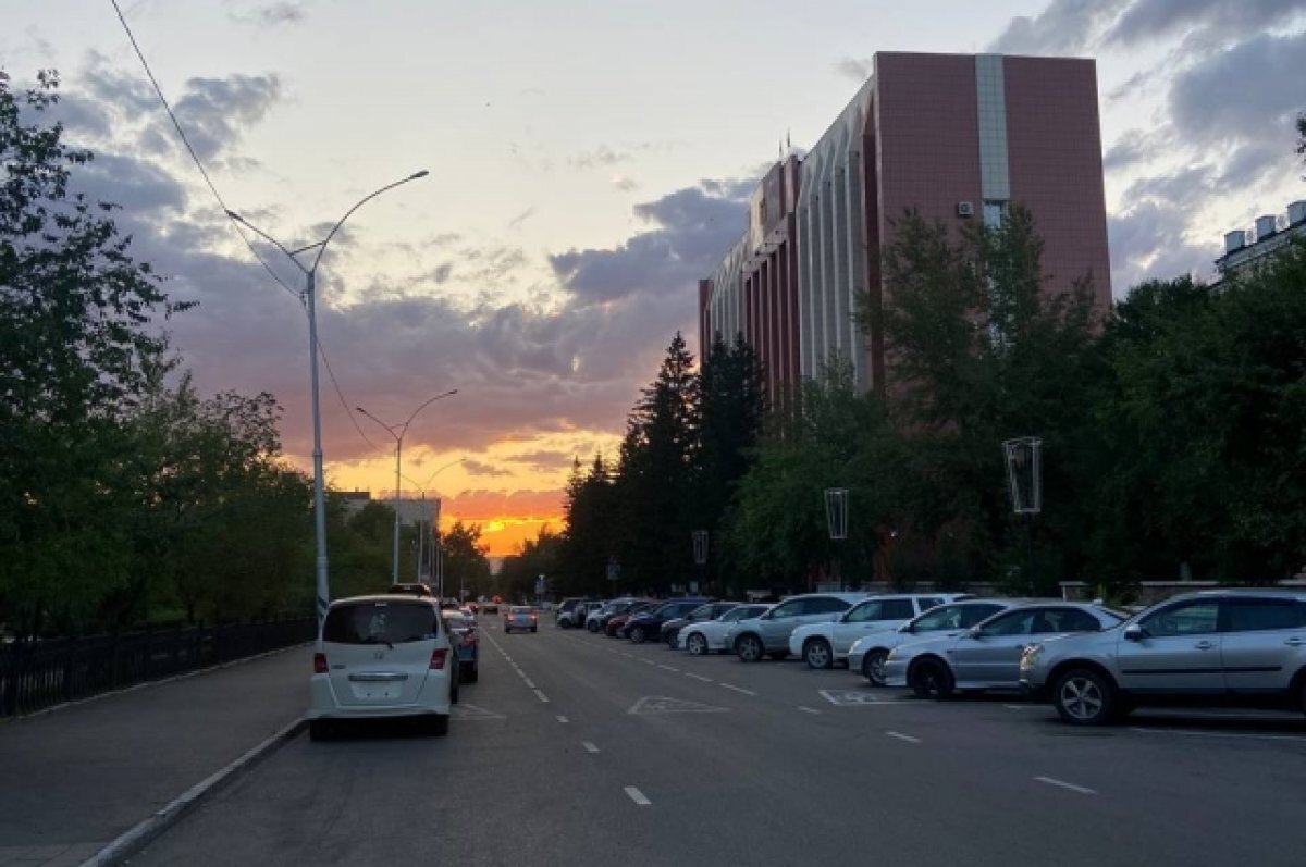    Мэрия потратит 51 млн рублей на озеленение Читы в 2024 году