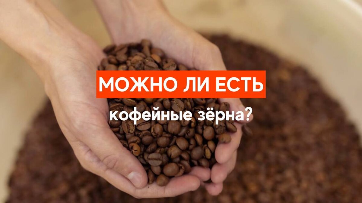 Можно ли есть и грызть зёрна кофе? | AROMA TEA COFFEE | Дзен