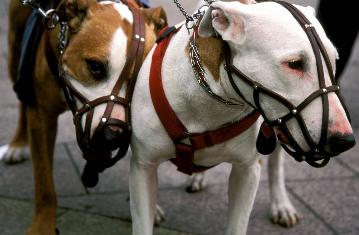 фото: via www.imago-images.de/Global Look Press