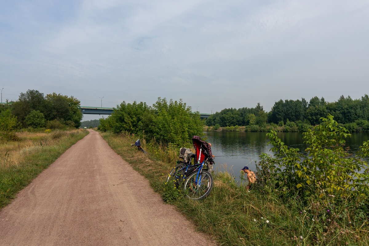 Прокат дмитровская. Дмитров улица профессиональная дом 135. Дмитров, 2-я левонабережная улица, 12. Прокат дмитровская. Г.