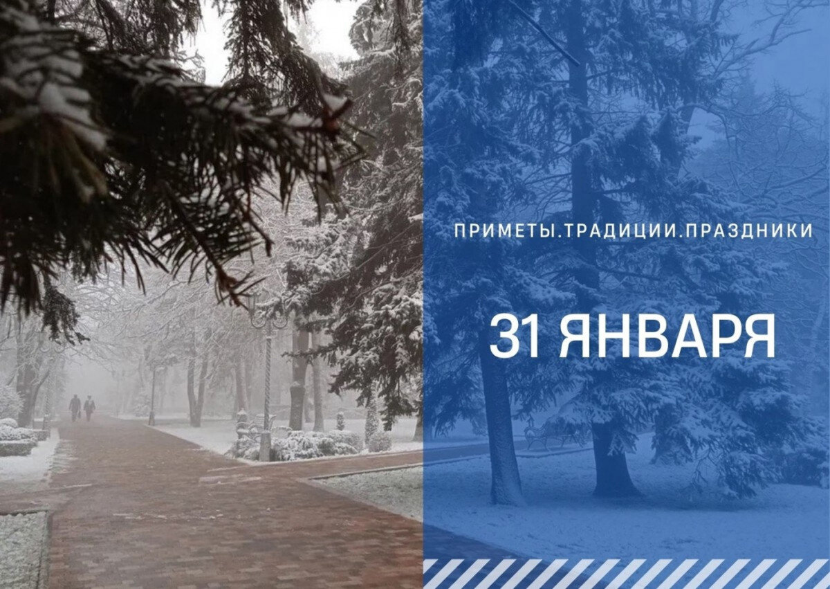 Среды обитания организмов. Внешнее и внутреннее оплодотворение таблица. Среды обитания ивыхорганизмов. Средопитания организмов. В какой среде происходит.