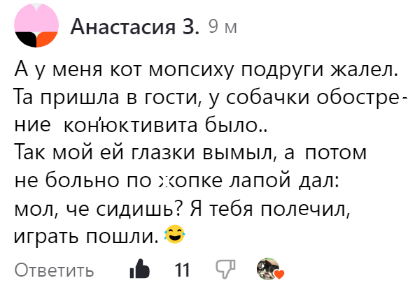 Сочини веселую. Сочини веселую. Цитаты из сочинений школьников смешные. Придумай сказку. Сочини веселую.