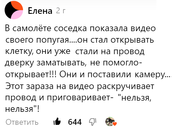 Сколько она пишет. Прикольные вопросы. Привет бывшая. Блокнот и женские руки. Девушка писатель.