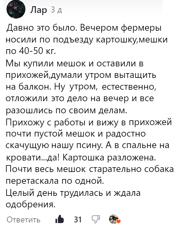 Право на отказ потребителя от услуг. Ст 29 закона о защите прав потребителей. Право потребителя на информацию. Задачи по защите прав потребителей. Фз о защите прав потребителей от 07.