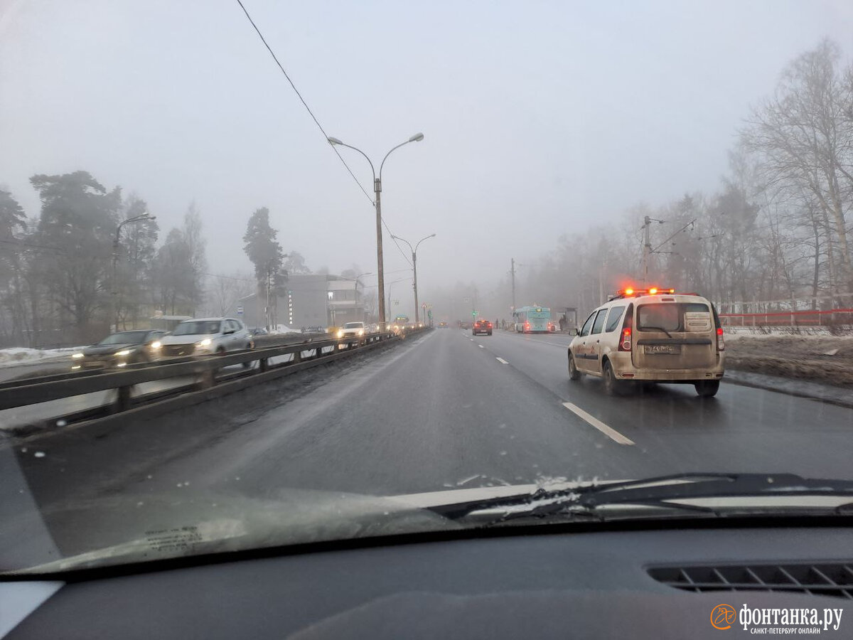 Новости санкт петербурга в приморском районе
