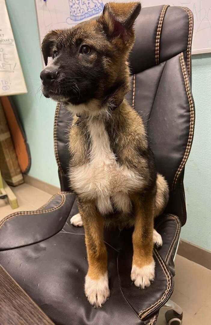 Ричи, на директорском месте )))