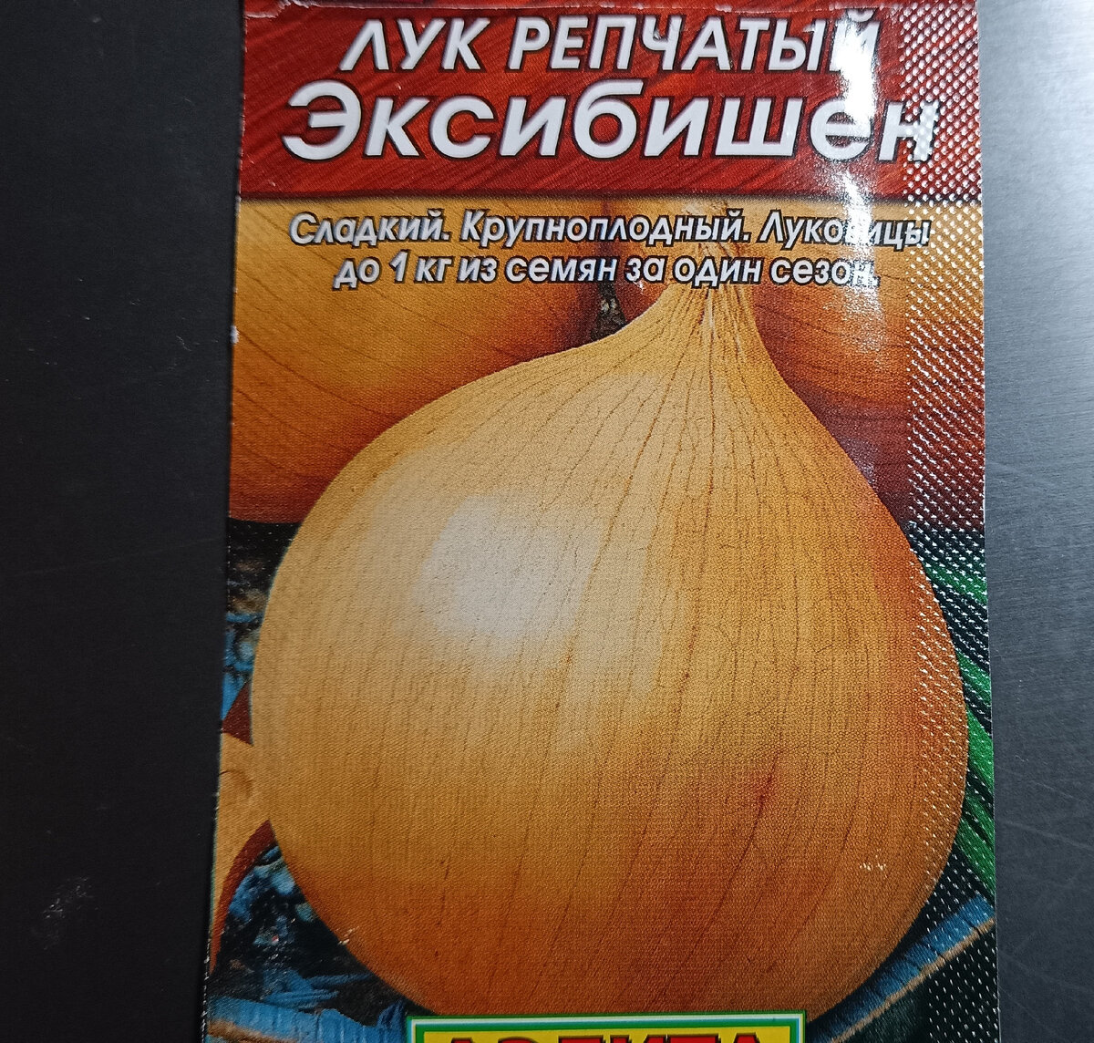 Лук Эксибишен, крупноплодный. Но если будет не 1 кг, а 200 г, то это в самый раз для кулинарии.