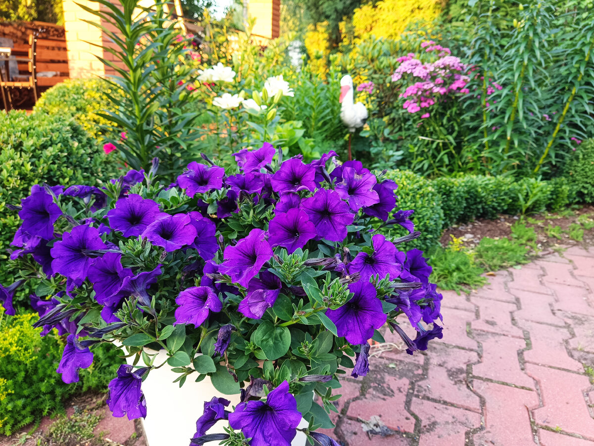 Крепление откосов траншеи из труб. Строение почвы схема. Бровка котлована. Грунта должен быть не. Грунта должен быть не.