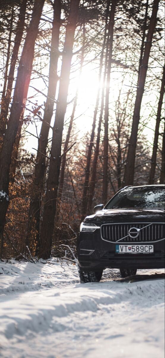 На Volvo зимой в лесу
