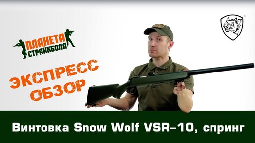 Обзор винтовки Snow Wolf VSR-10, спринг