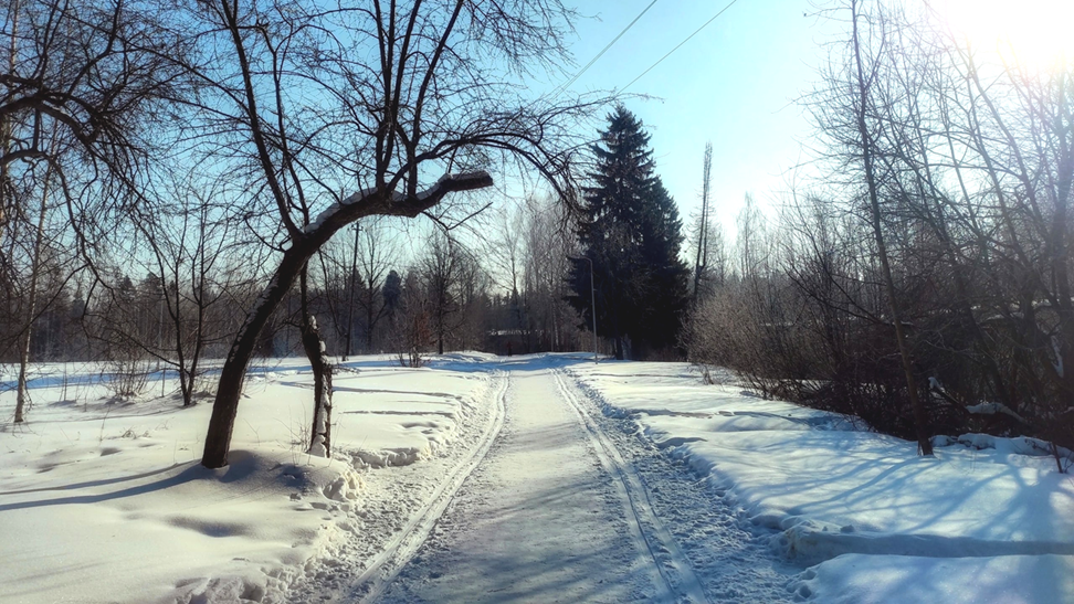 В каждом городе можно найти тропу для прогулки