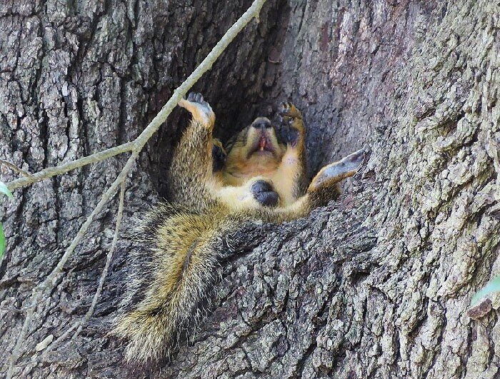 Источник: boredpanda.com