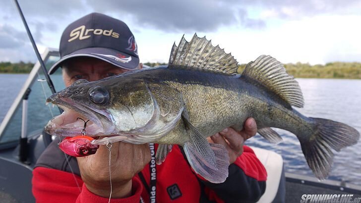 Неоднозначные ответы на вопросы. Аяна ахмедова гчп. Кс грамматика языка программирования. Основным требованием к гипотезе является:. Является неоднозначным.