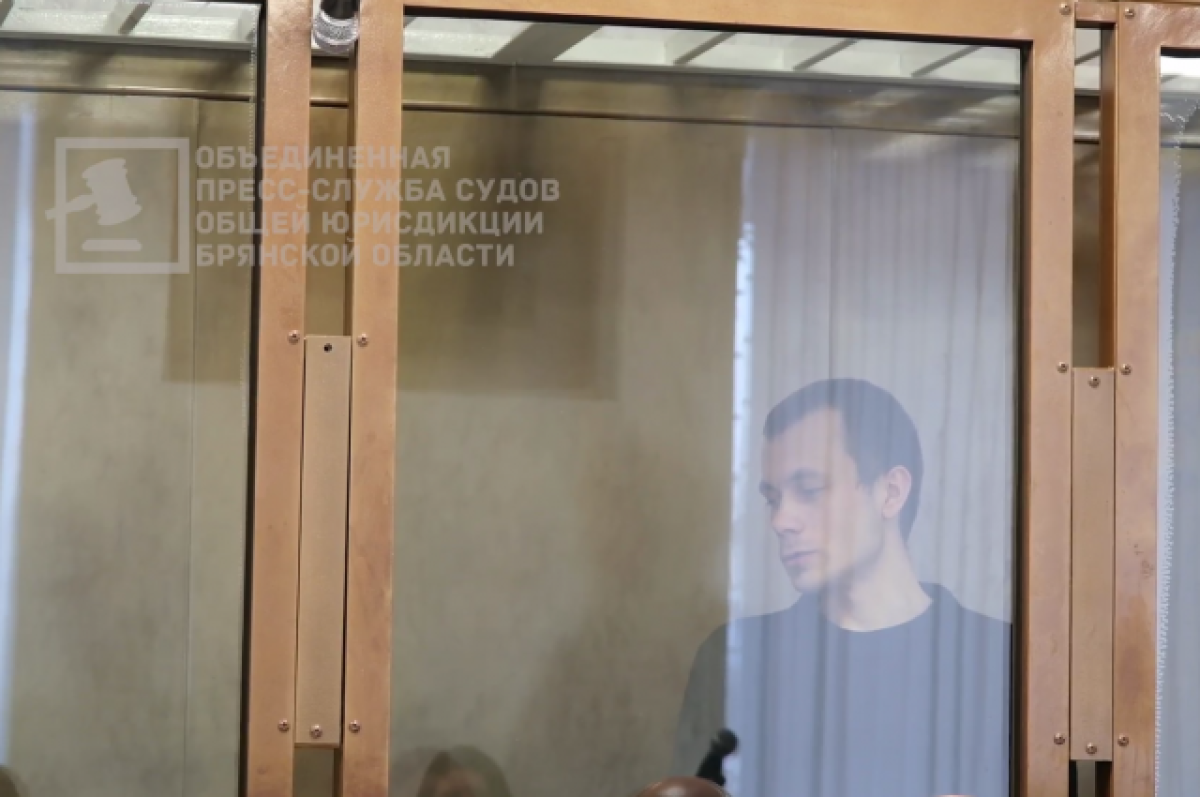    Брянский суд приговорил местного жителя к 13 годам за госизмену