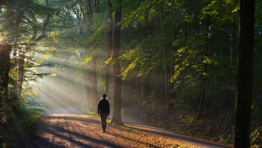    Фото: Shutterstock