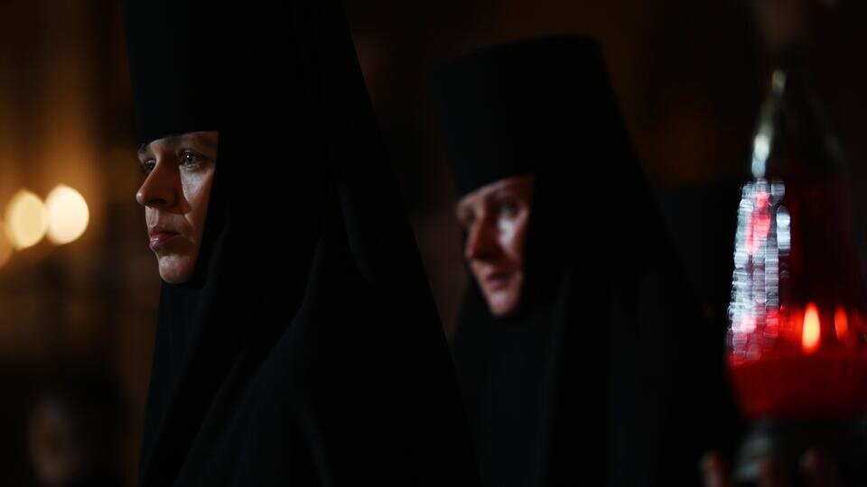 котик просит. проси прощения. прости смешное. прости я не хотел обидеть. просить извинения или прощения.