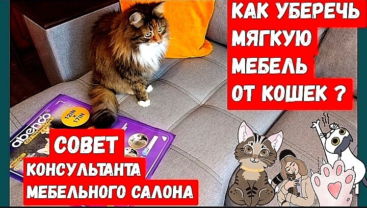 все по порядку !