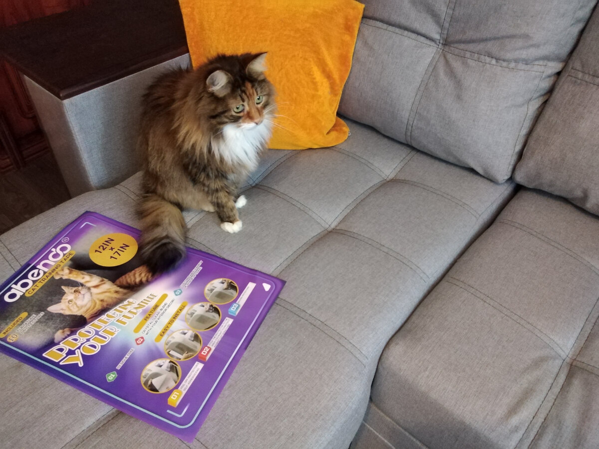 Существует специальная защитная пленка для мебели