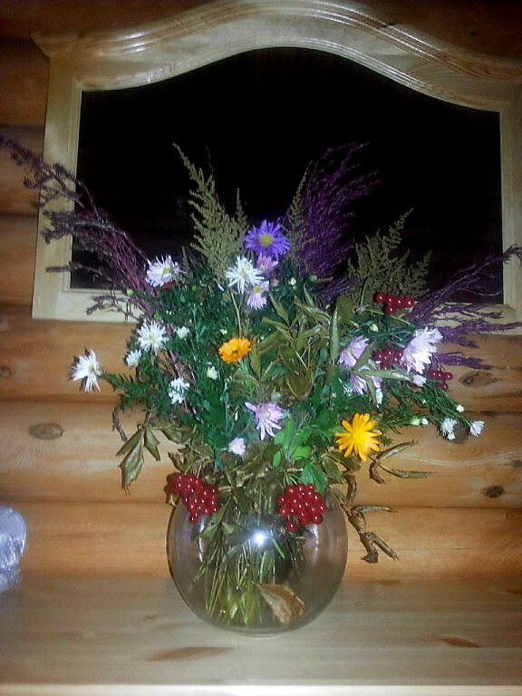 Вот то, что ушло в сухоцветы. Однажды. Это было первый и последний раз. 