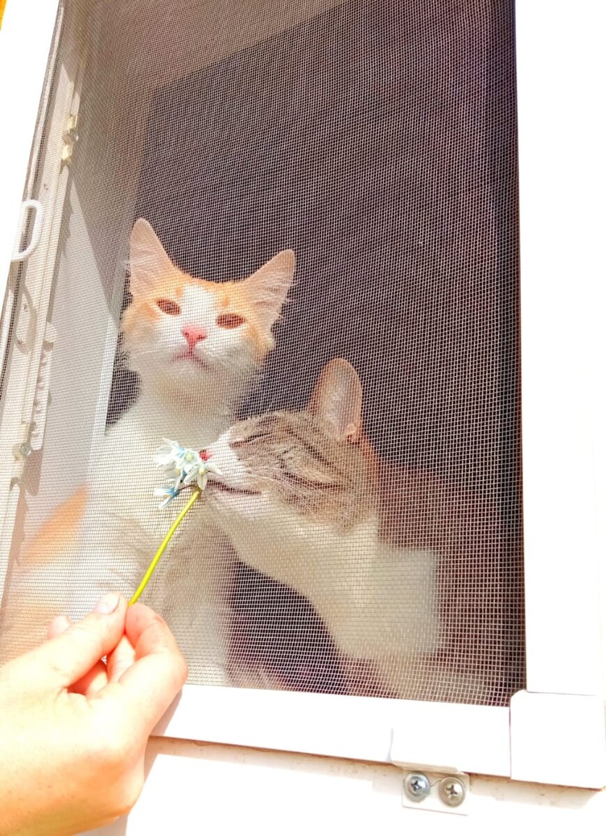 Bmw 2 под капотом. Мужик под капотом. Машина закипела. Вскипевший антифриз. Под капотом пар идет.