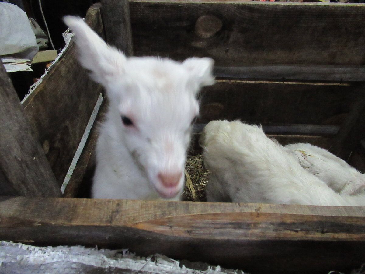 -"А что это вы тут делаете?"