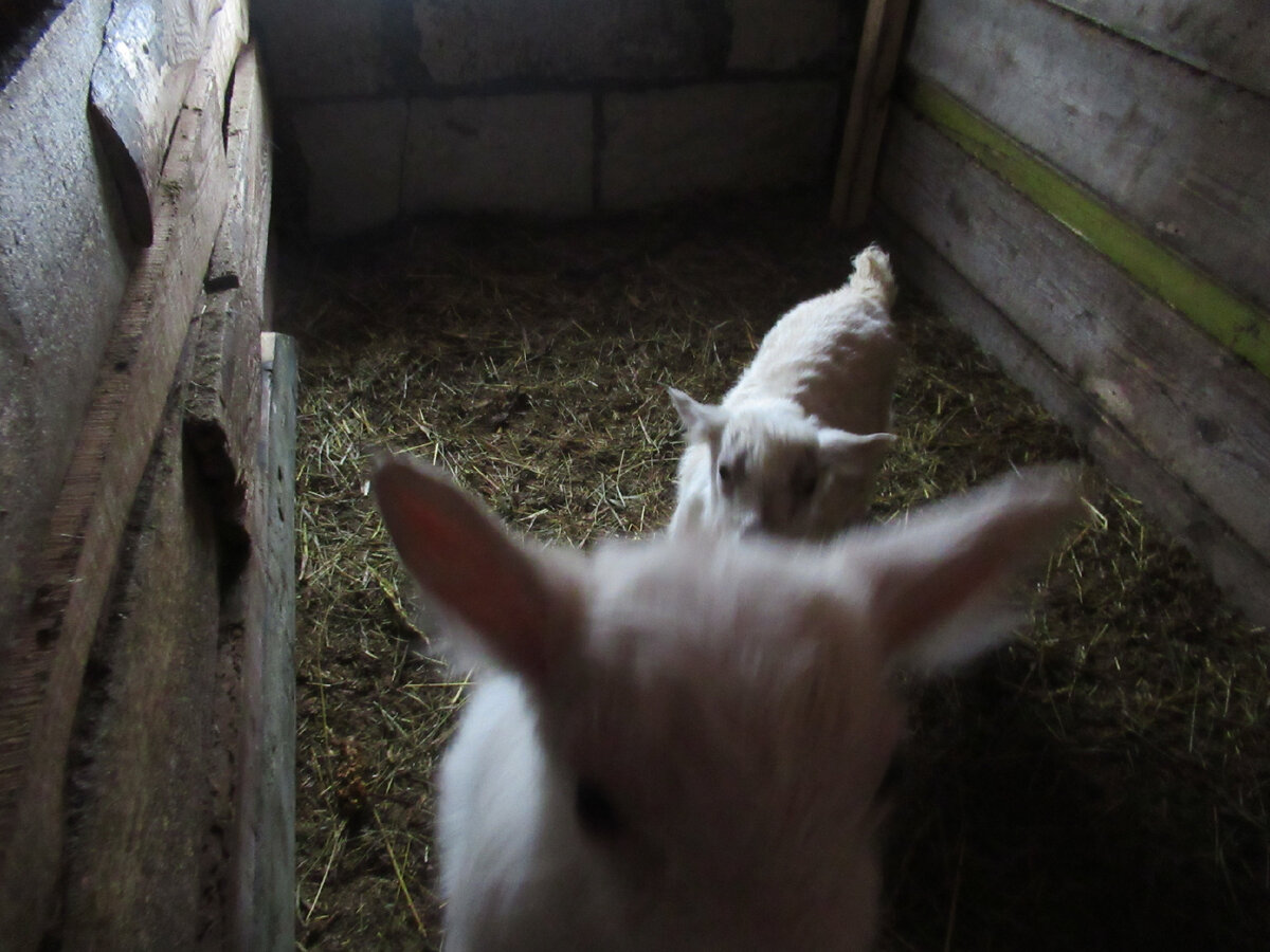 А тут я такой!!!