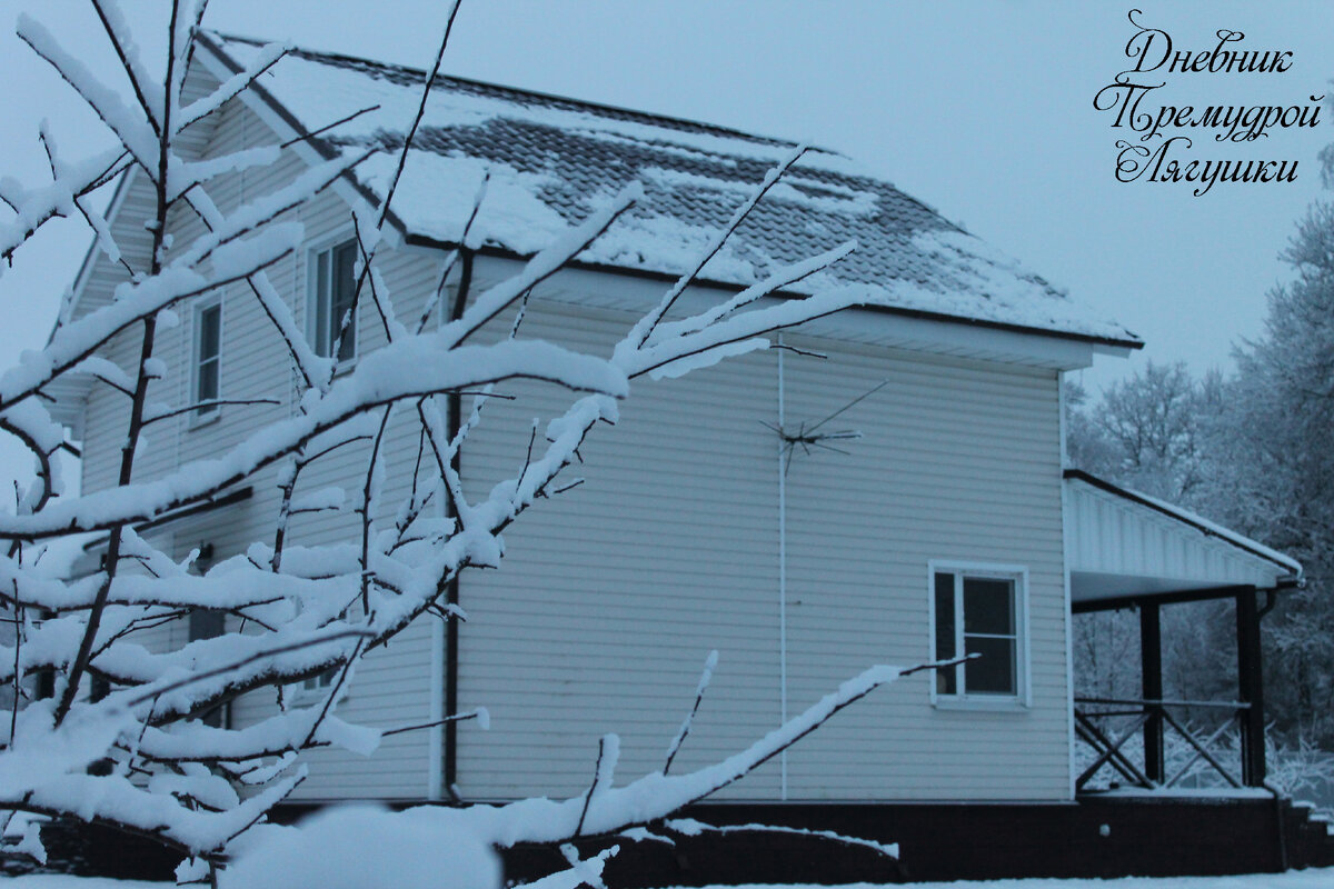 дом и фото автора