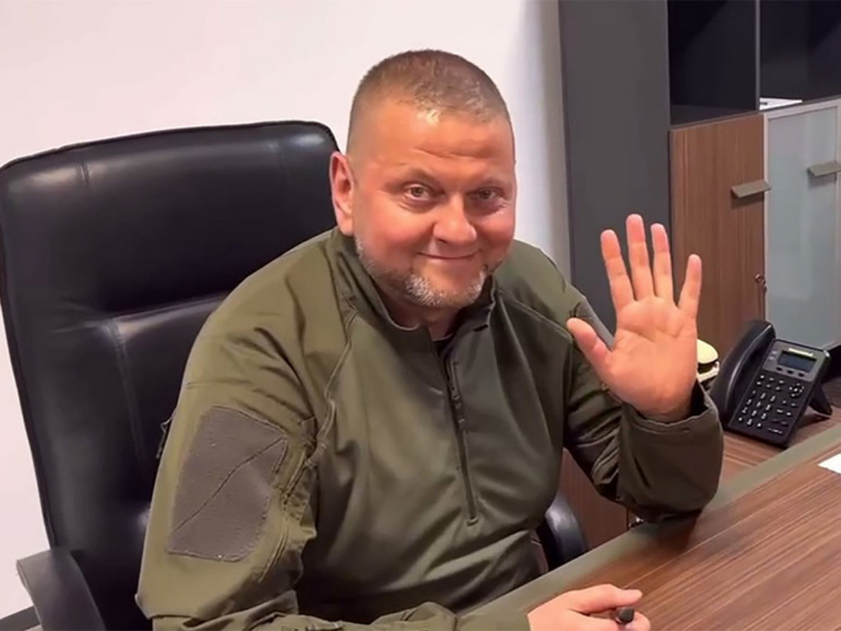 Снова один снова не знаю куда идти. Кот ждет весну. Мемы про кидал. Снова один снова не знаю куда идти. Картина вдаль.