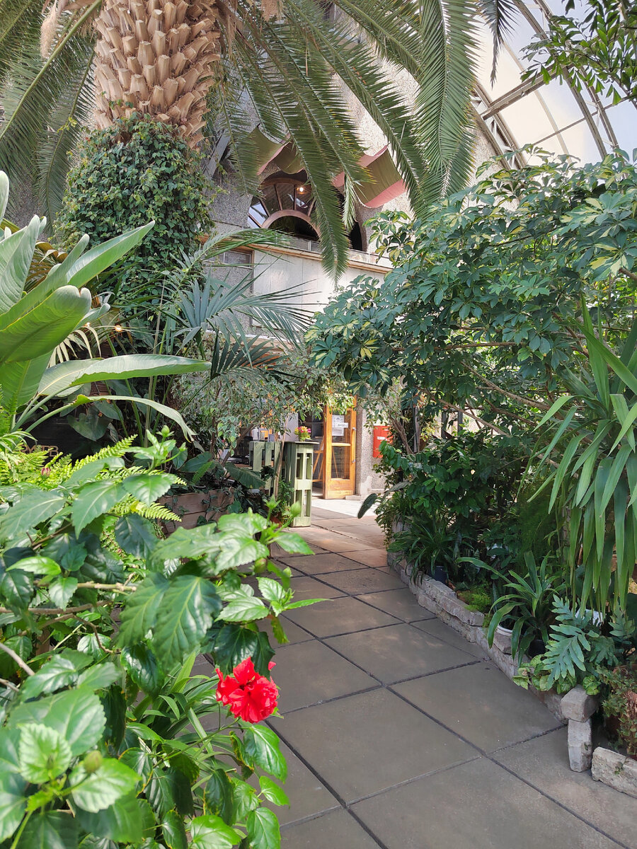 шумный сад. шумный сад. мой шумный дом линн лауд. мой шумный дом линкольн и линн +18. мой шумный дом смерть линкольна.