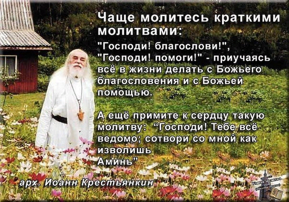 Шаман боже помоги