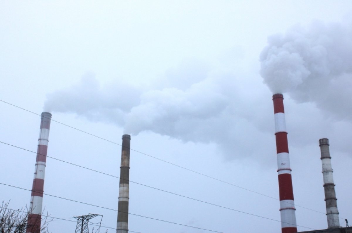    Власти намерены улучшить качество воздуха в Искитиме