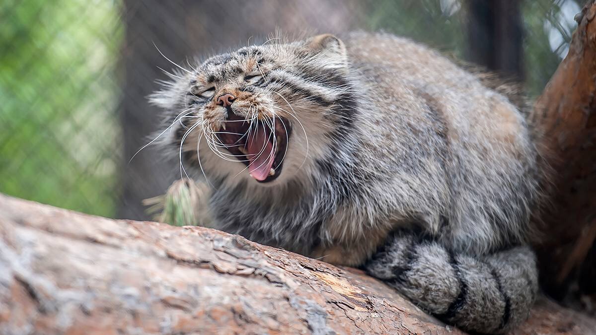    Фото: shutterstock