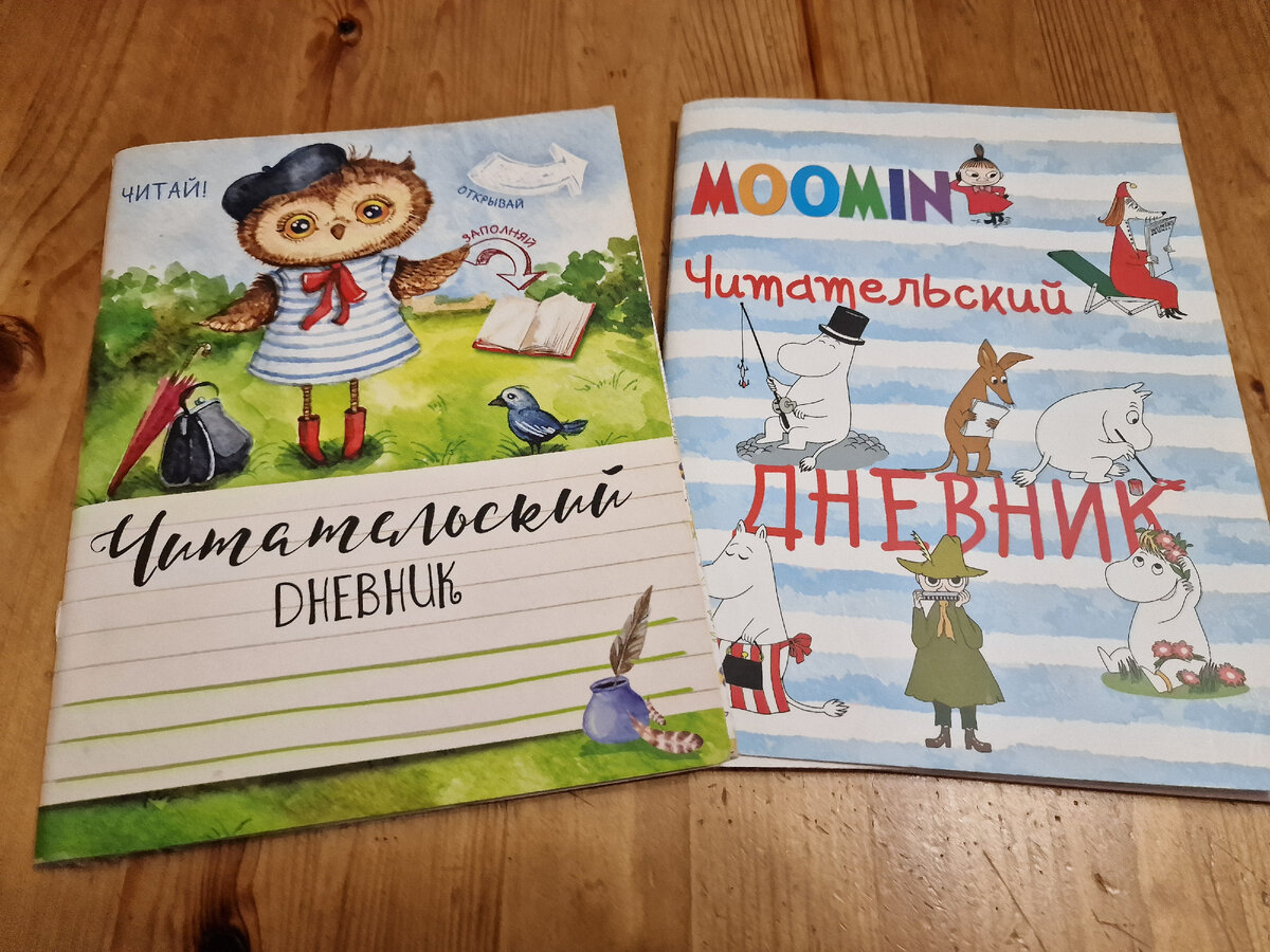 Мои читательские дневники, которые я вела от руки
