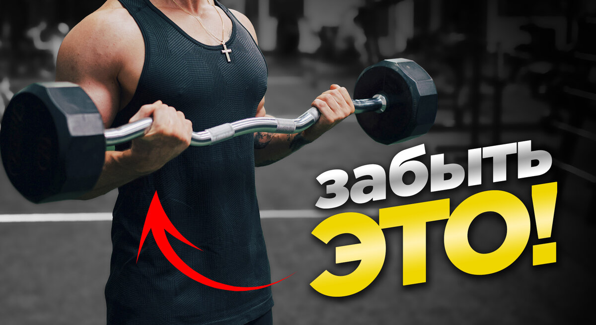 День тренировки бицепса