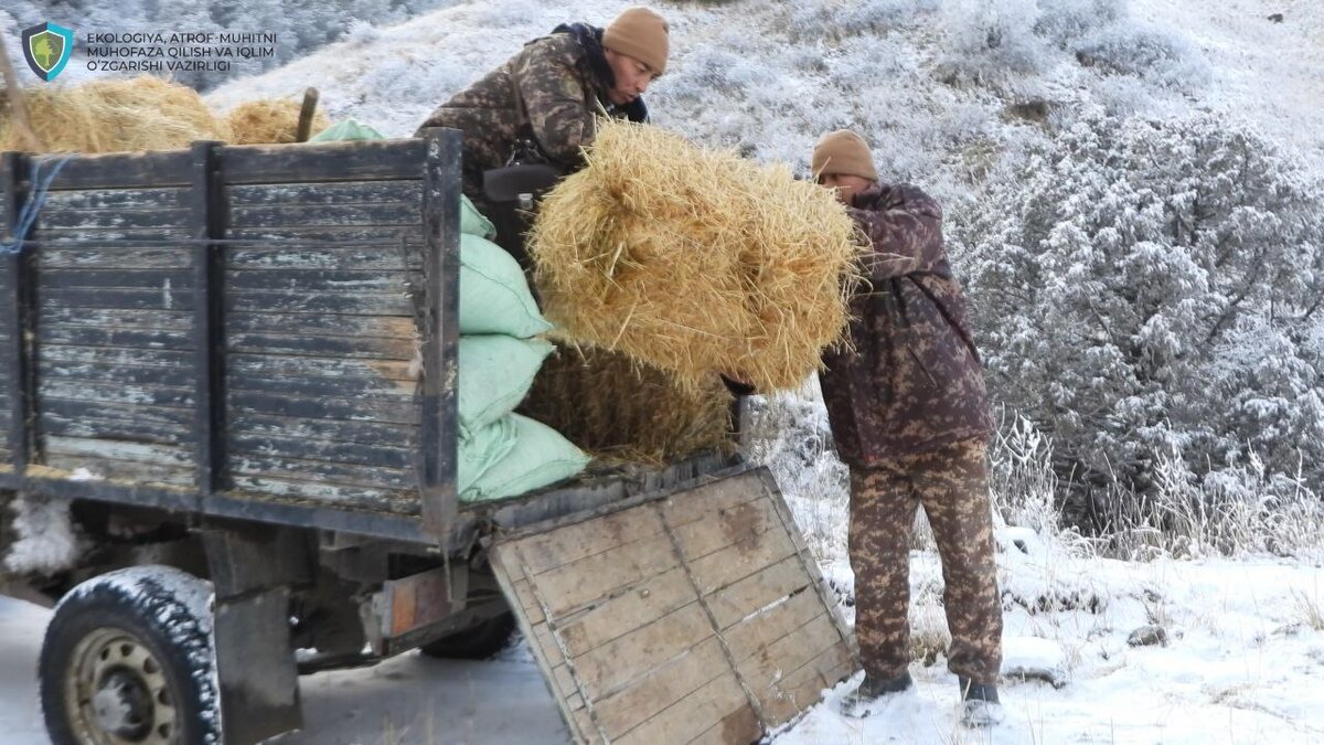    Министерство экологии, охраны окружающей среды и изменения климата Nafosat