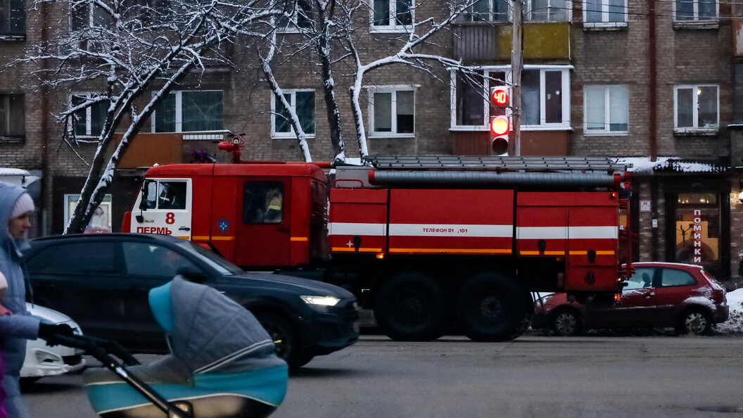    Фото: globallookpress.com