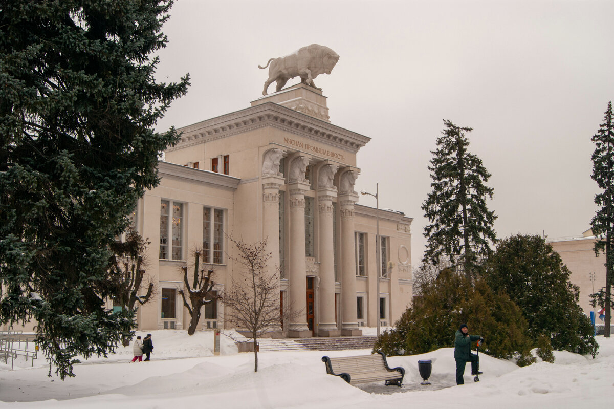 Павильон N51 «Есть своё» («Мясная промышленность»). ВДНХ.