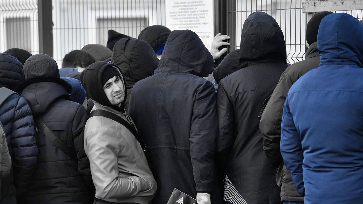 В Воронеже задержали мигрантов за пропаганду ЛГБТ* и проституцию. |  Светофор Новостей: Сигналы Информации | Дзен