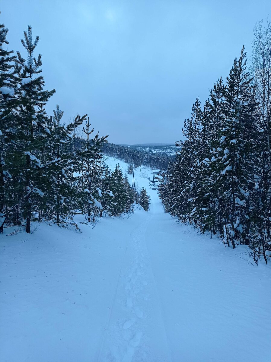 Цитаты про зиму. Зимние цитаты. Зимняя природа цитаты. Зимняя природа цитаты. Красивые высказывания о зиме.