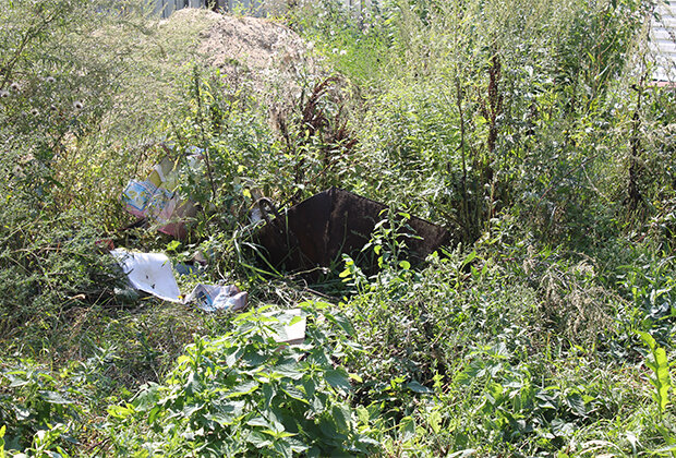 Куда делся вик. Фото пропавших девочек. Вика нижний новгород. Куда делся вик. Куда делся вик.