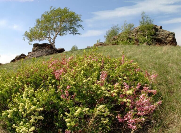    Гора Алеутас в Соль-Илецком округе вошла в ТОП-7 «мест силы» в регионах России Андрей Севостьянов