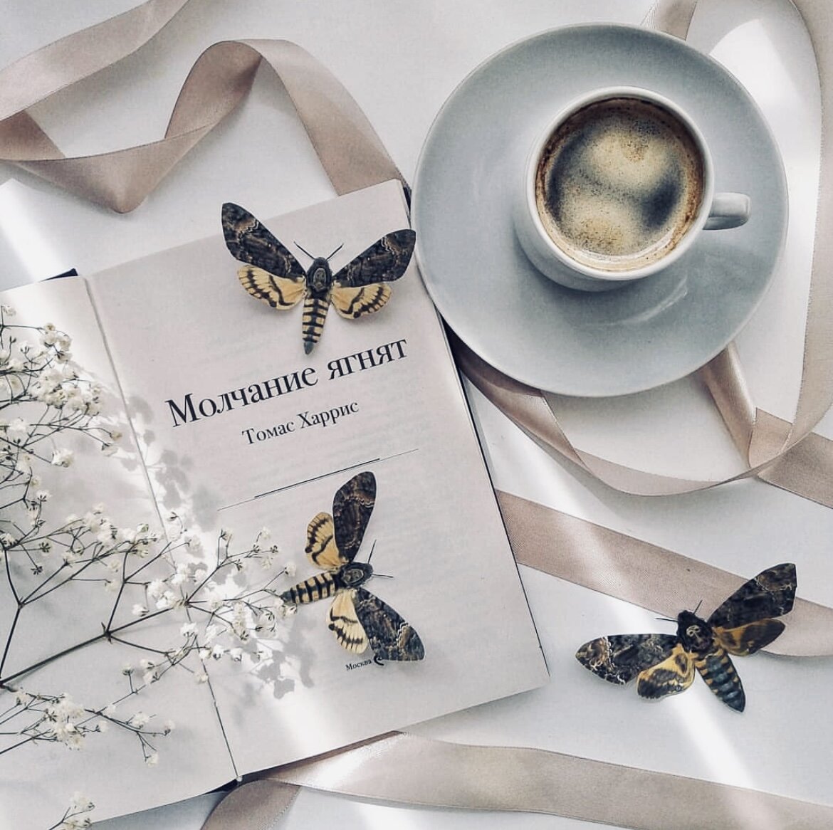 Я вовсе не считаю, что, становясь старше, мы делаемся мудрее, Старлинг. Но мы учимся более успешно лавировать в адском пекле. Умение лавировать – вот что нам здесь понадобится более всего.