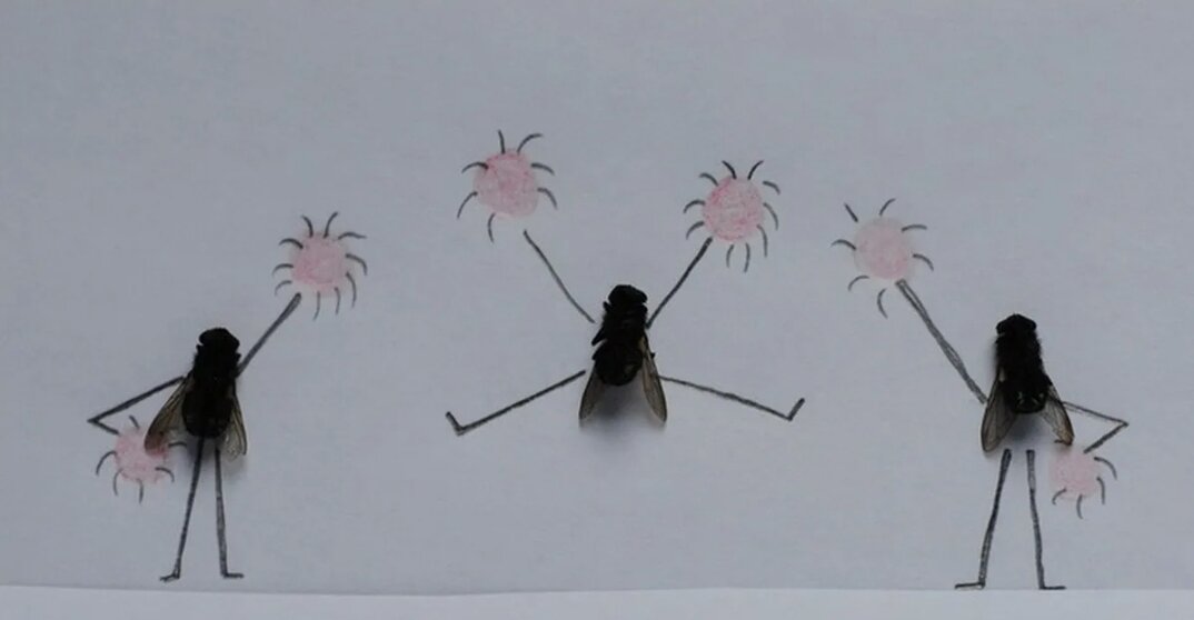 Просто праздник какой-то.