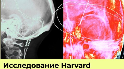 вода прозрачная опыт. можно ли опыт. три стакана с водой. опыты с лекарствами. можно ли опыт.